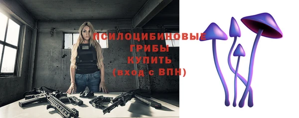 соль ск Верея