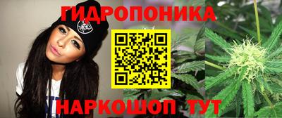 спиды Балаково