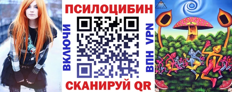 цена   Губкинский  Галлюциногенные грибы Cubensis 