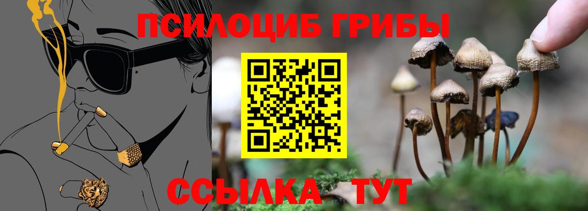 Псилоцибиновые грибы мицелий Губкинский