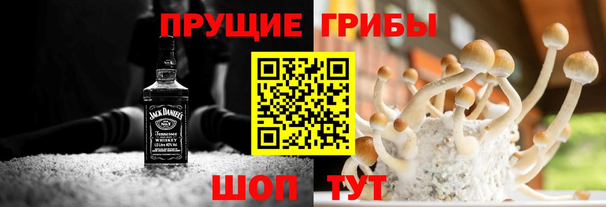 Губкинский  Галлюциногенные грибы Magic Shrooms  закладка  Вход с VPN 