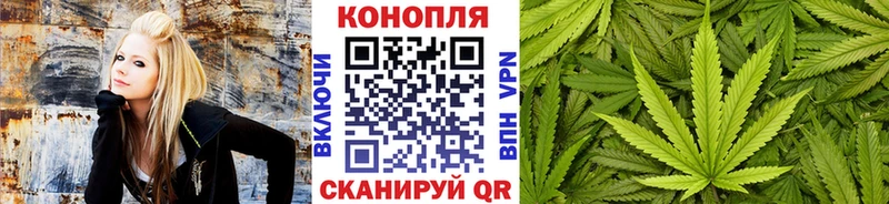 Шишки марихуана планчик  Губкинский 