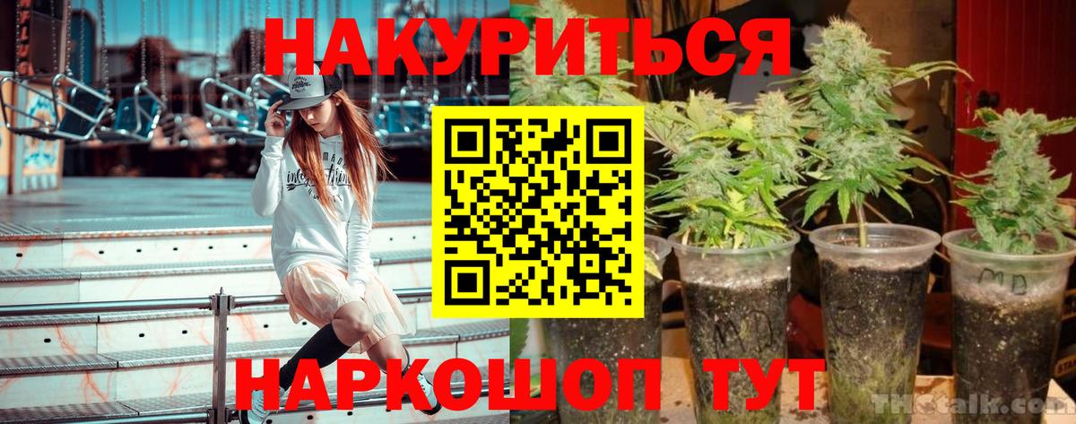Конопля White Widow Губкинский